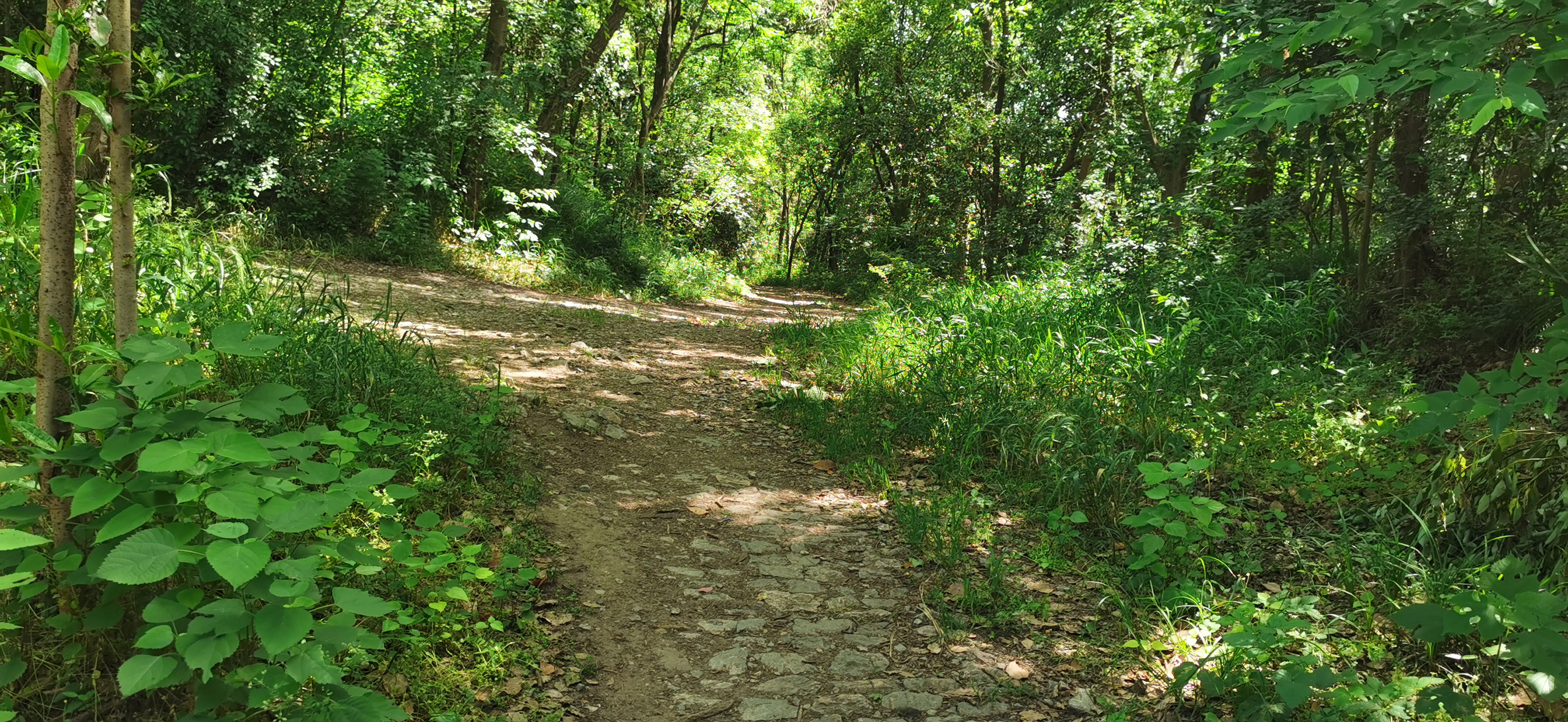 发现一处好地方