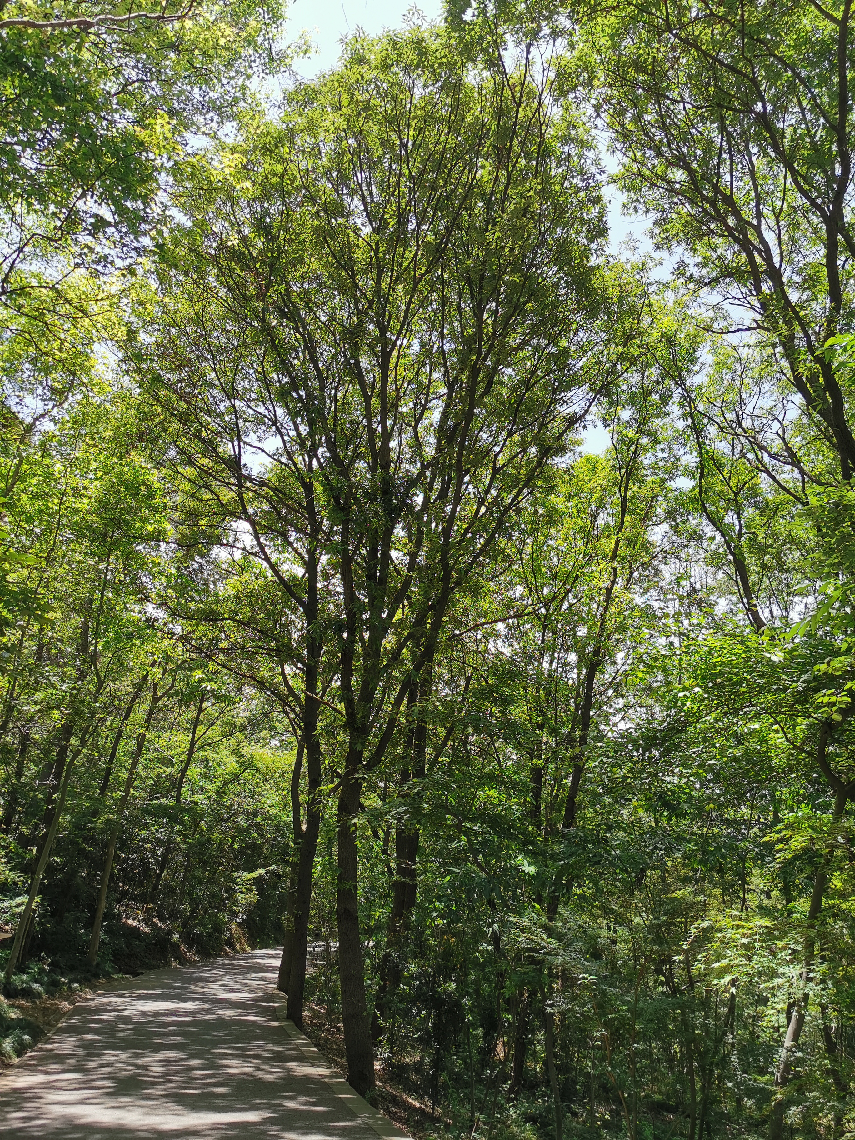 发现一处好地方