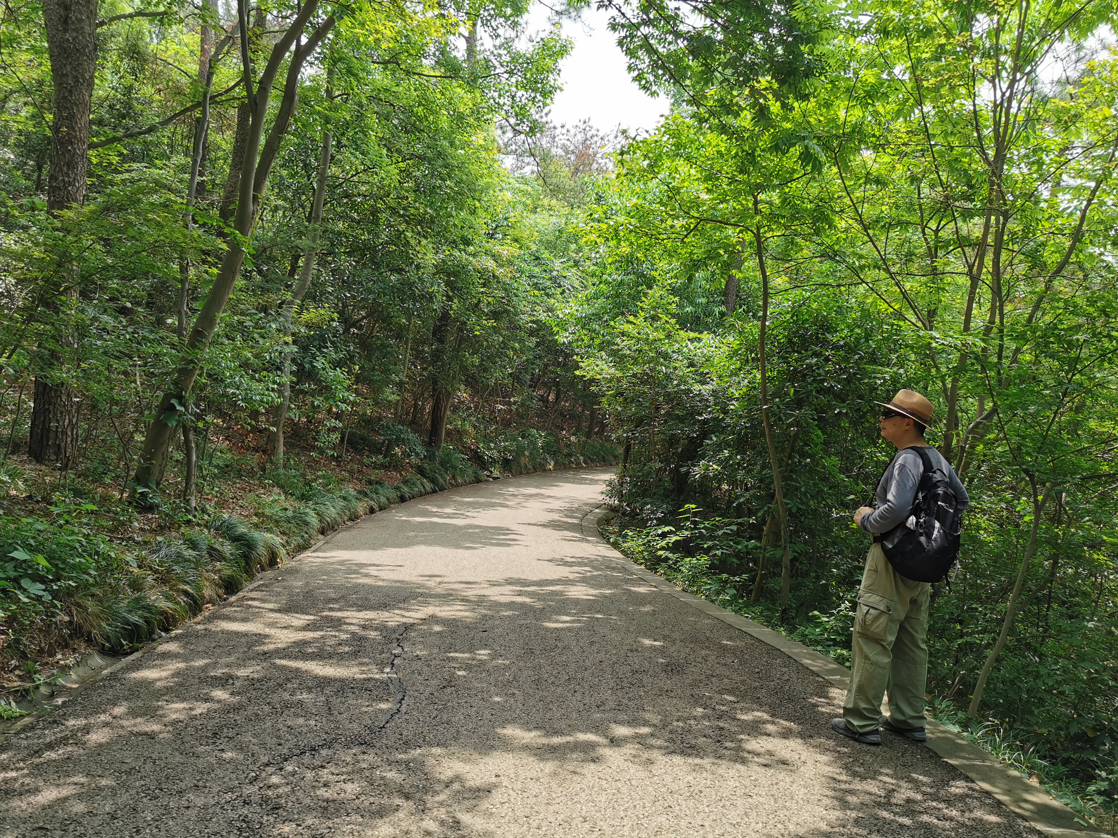 发现一处好地方