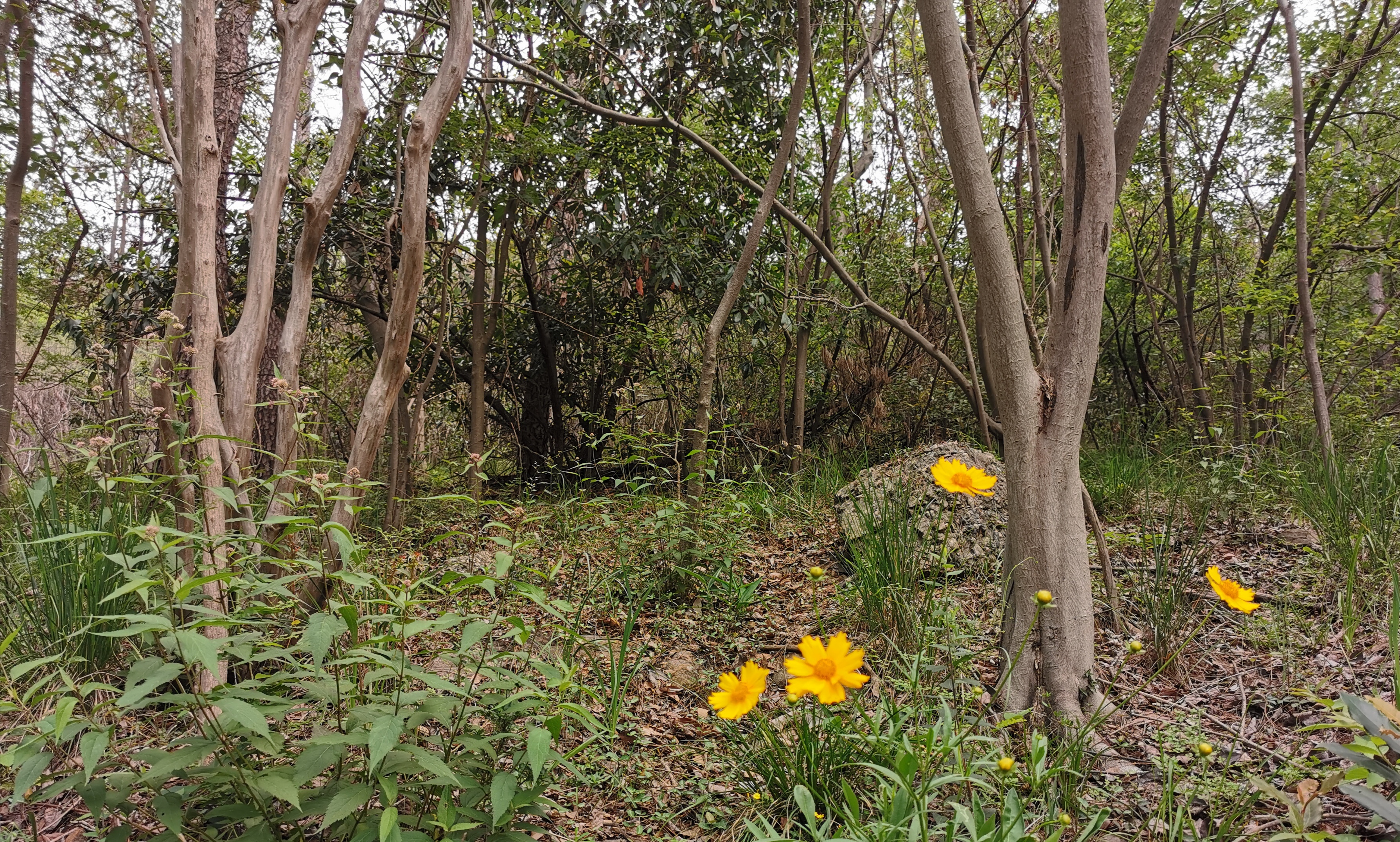 发现一处好地方