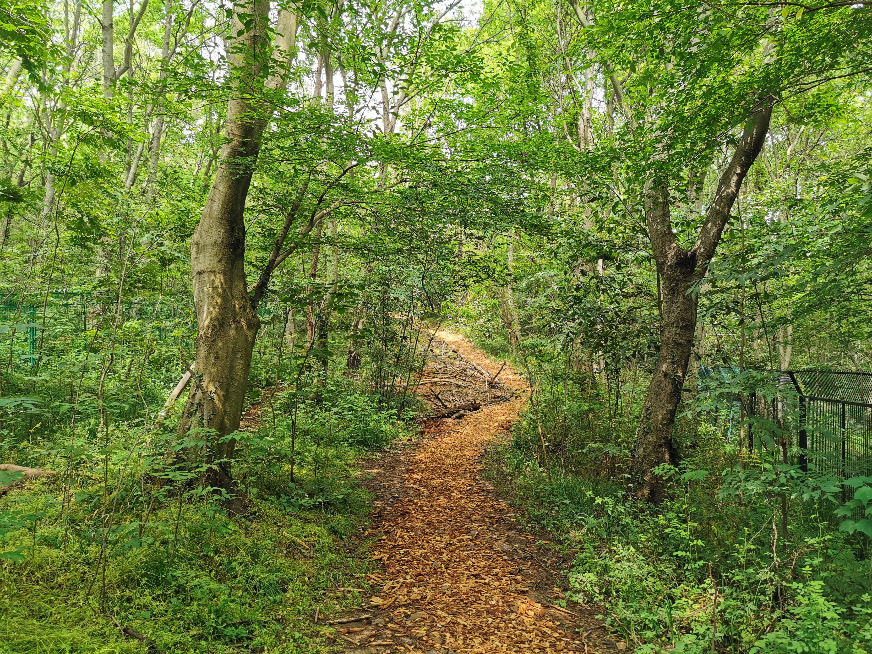 发现一处好地方