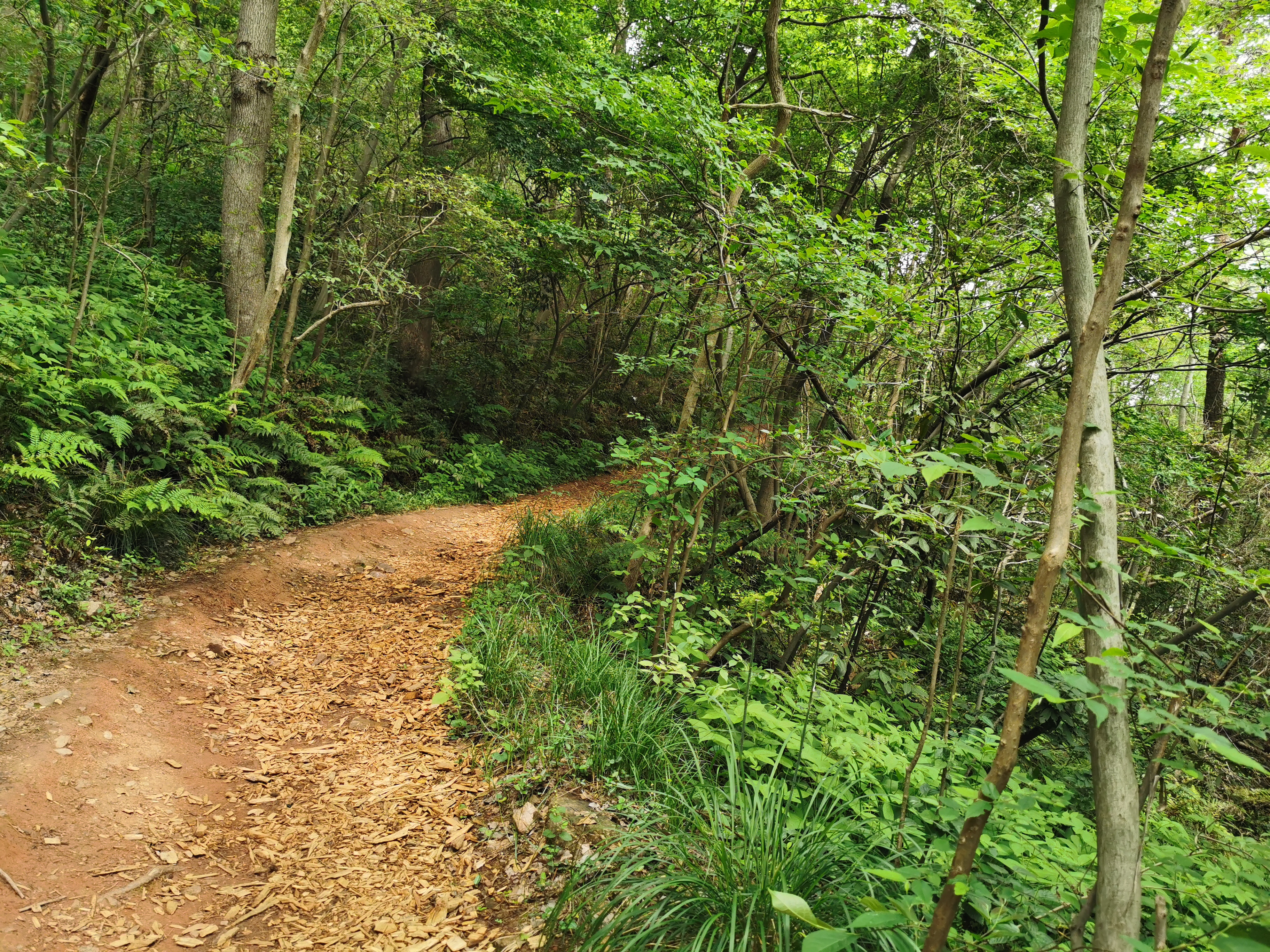 发现一处好地方