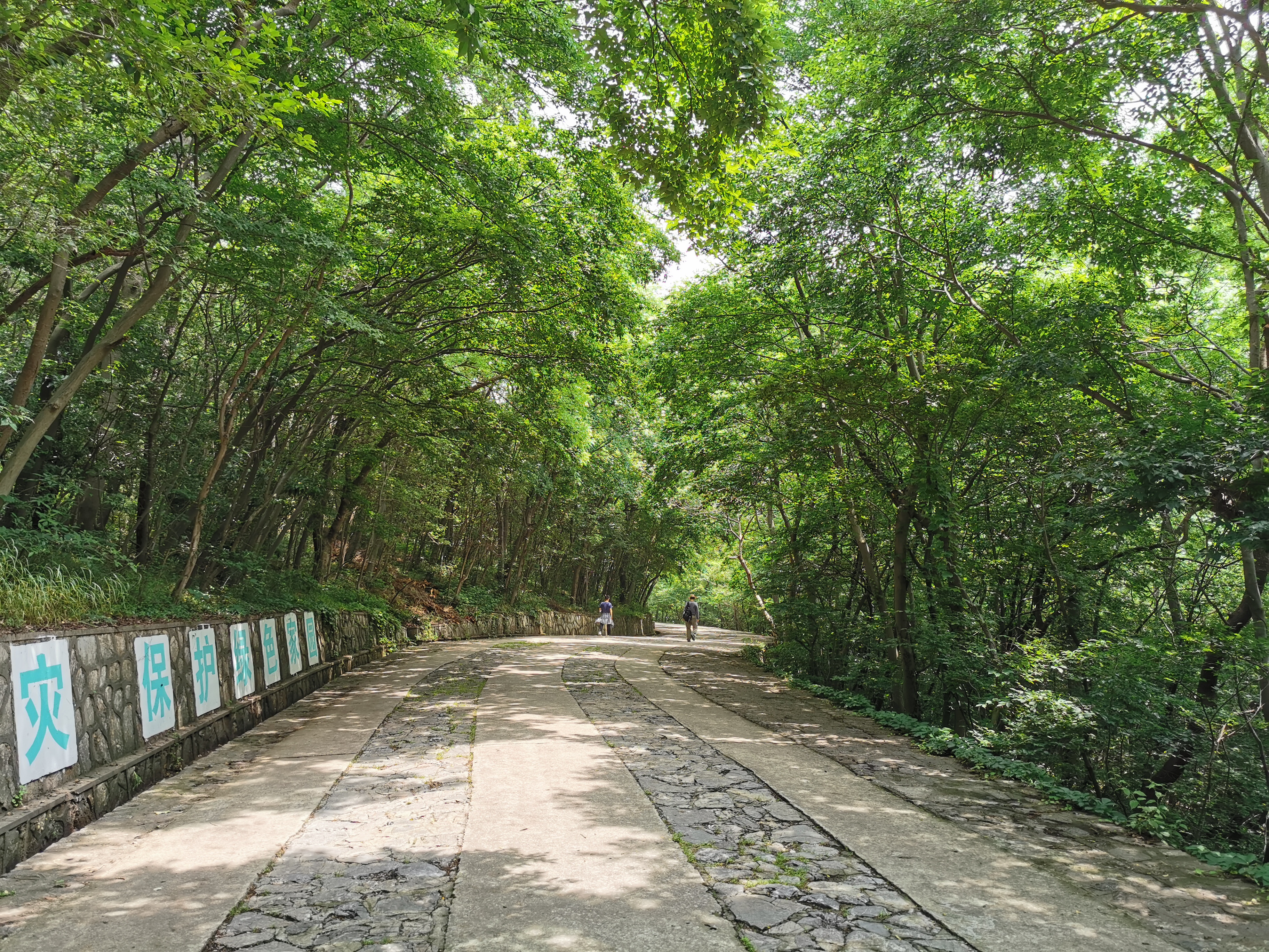 发现一处好地方